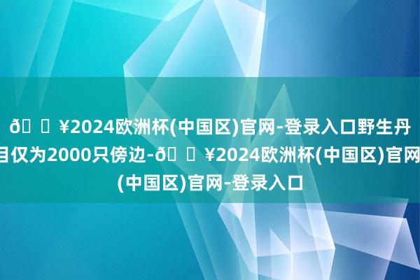 🔥2024欧洲杯(中国区)官网-登录入口野生丹顶鹤的数目仅为2000只傍边-🔥2024欧洲杯(中国区)官网-登录入口
