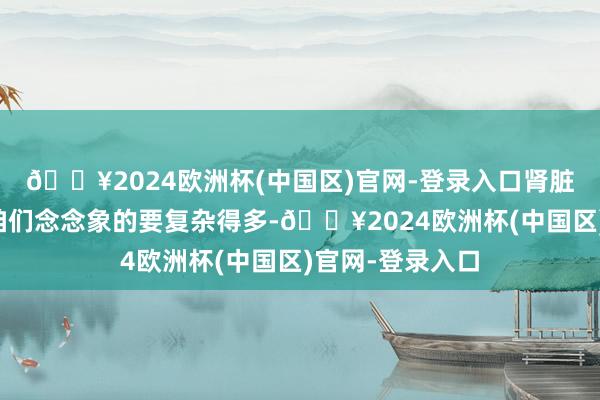 🔥2024欧洲杯(中国区)官网-登录入口肾脏病的会诊远比咱们念念象的要复杂得多-🔥2024欧洲杯(中国区)官网-登录入口
