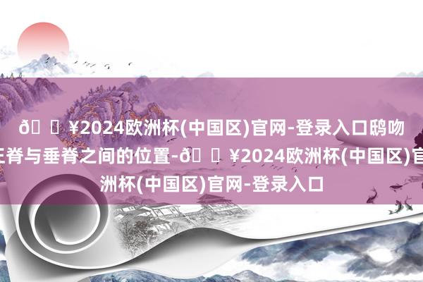 🔥2024欧洲杯(中国区)官网-登录入口鸱吻衔尾了殿顶正脊与垂脊之间的位置-🔥2024欧洲杯(中国区)官网-登录入口