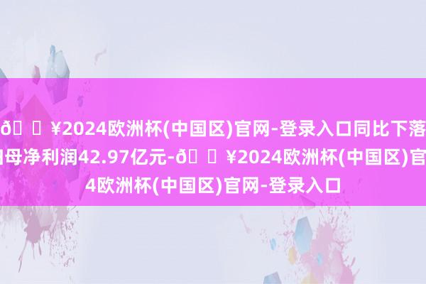 🔥2024欧洲杯(中国区)官网-登录入口同比下落22.13%；归母净利润42.97亿元-🔥2024欧洲杯(中国区)官网-登录入口