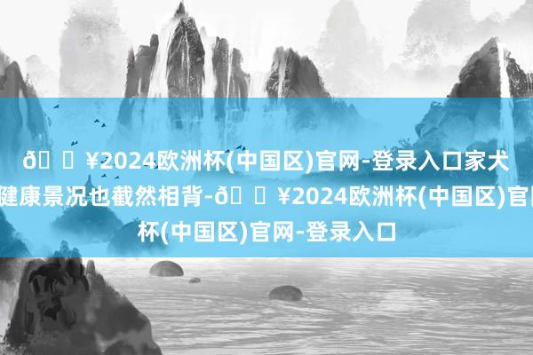 🔥2024欧洲杯(中国区)官网-登录入口家犬和流浪犬的健康景况也截然相背-🔥2024欧洲杯(中国区)官网-登录入口