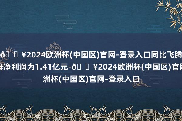 🔥2024欧洲杯(中国区)官网-登录入口同比飞腾0.9%；归母净利润为1.41亿元-🔥2024欧洲杯(中国区)官网-登录入口