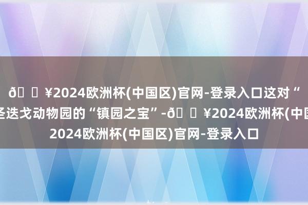 🔥2024欧洲杯(中国区)官网-登录入口这对“友谊使臣”已成为圣迭戈动物园的“镇园之宝”-🔥2024欧洲杯(中国区)官网-登录入口